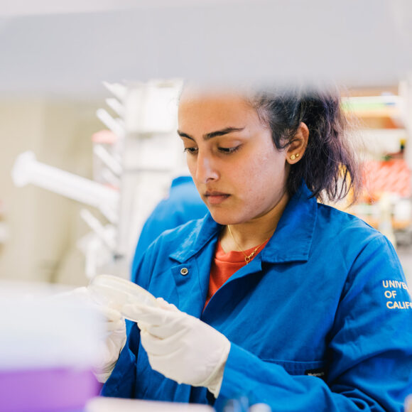 A UC Berkeley student wearing a blue lab coat looking at a petri dish