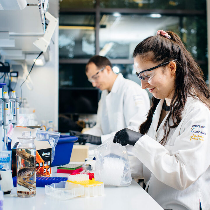Two UC Santa Cruz students in the lab