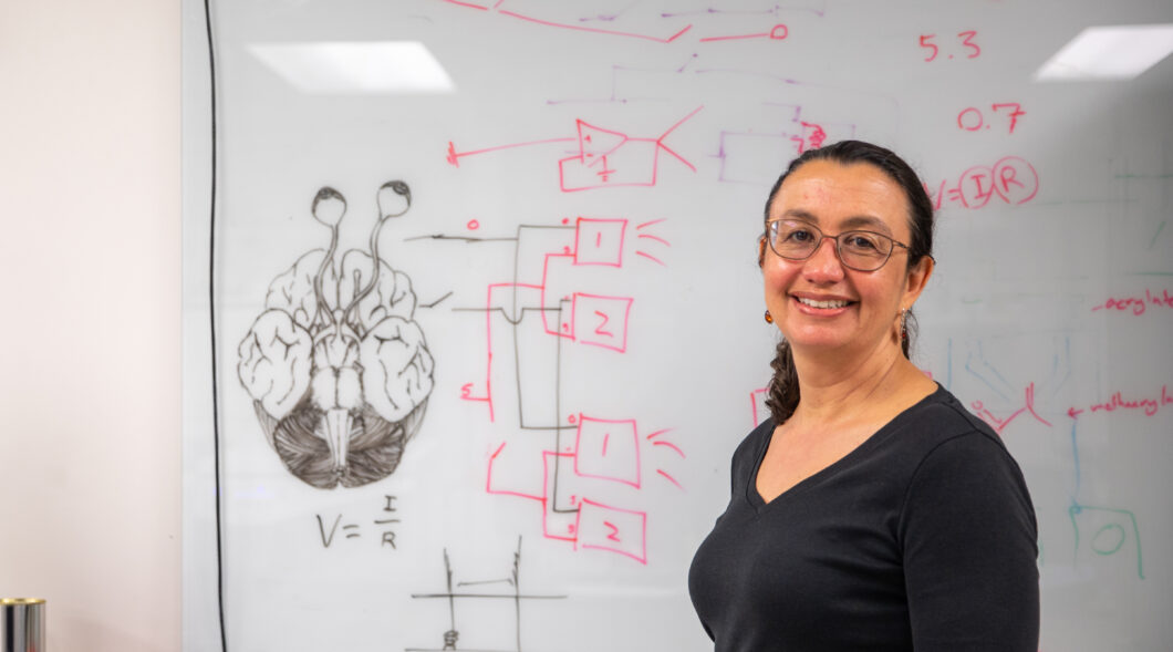 A member of the Braingeneers research group, Professor Sofie Salama will be an investigator on the newly funded project to investigate the genetic roots of autism. (photo by Carolyn Lagattuta)