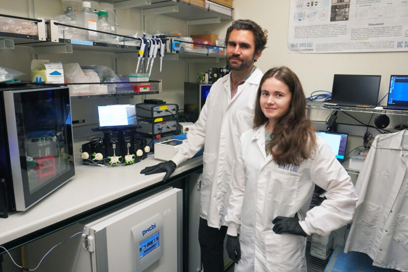 Spencer Seiler and Kateryna Voitiuk are developing an automated, scalable system for organoid culture in their UC Santa Cruz lab. Photo: Kaspar Mossman